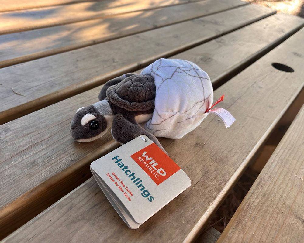 Peluche bebé tortuga marina