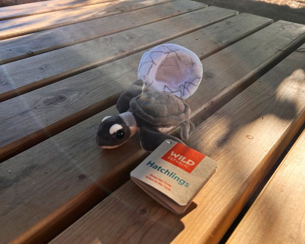Peluche bebé tortuga marina - Imagen 2