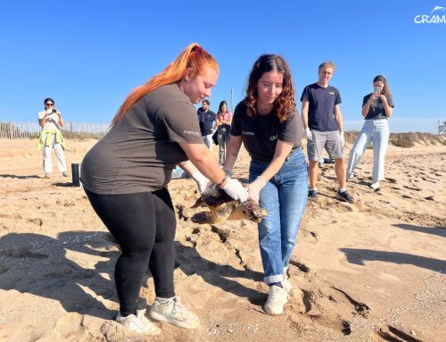 Espelta, Chiqui y Maria Carey, de vuelta al mar