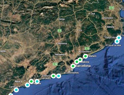 17 asistencias de fauna marina durante los meses de julio y agosto