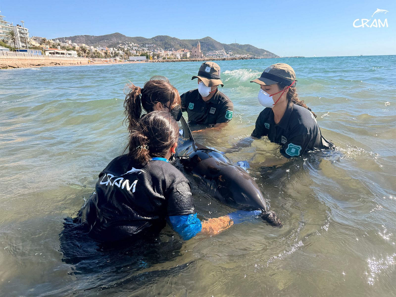 ASSISTENCIA-DOFÍ-SITGES-2