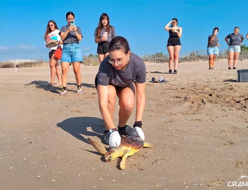 La Deriva torna al mar després de dos mesos de recuperació