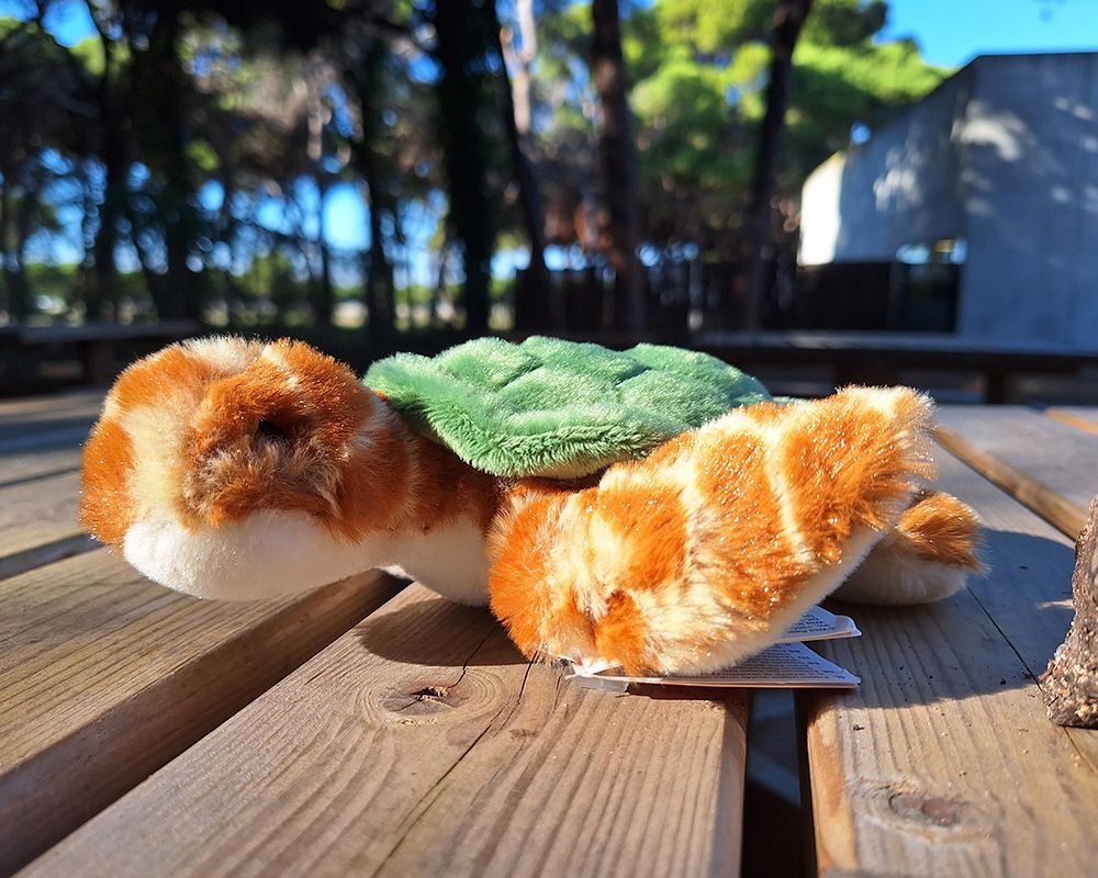 Peluche tortuga marina mini