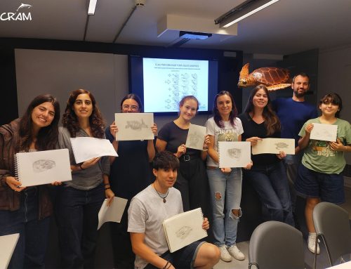 Gran jornada de Ilustración Científica sobre Tortugas Marinas